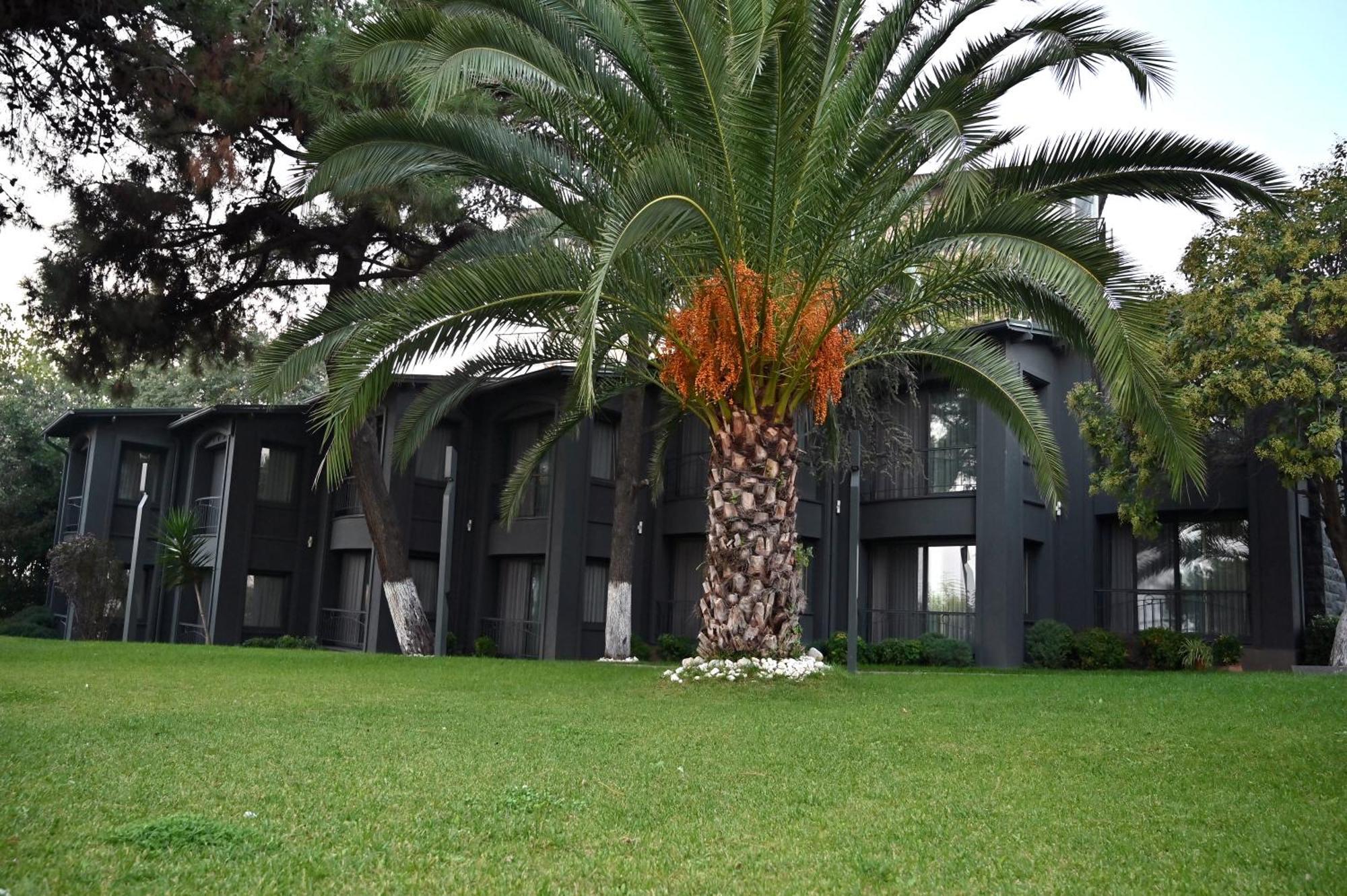 איסטמבול Denizati Plus Hotel מראה חיצוני תמונה